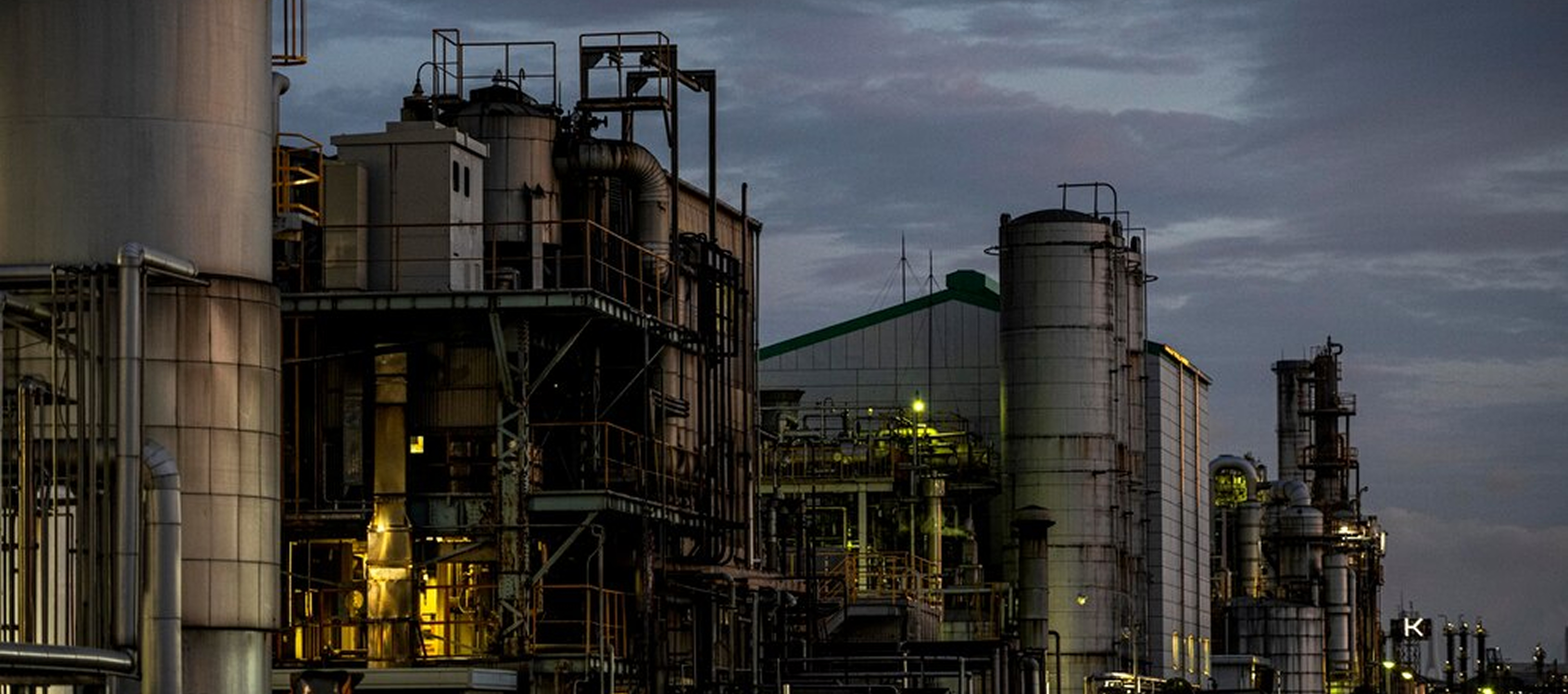 Predicting Risk Before It Hits the Critical Path